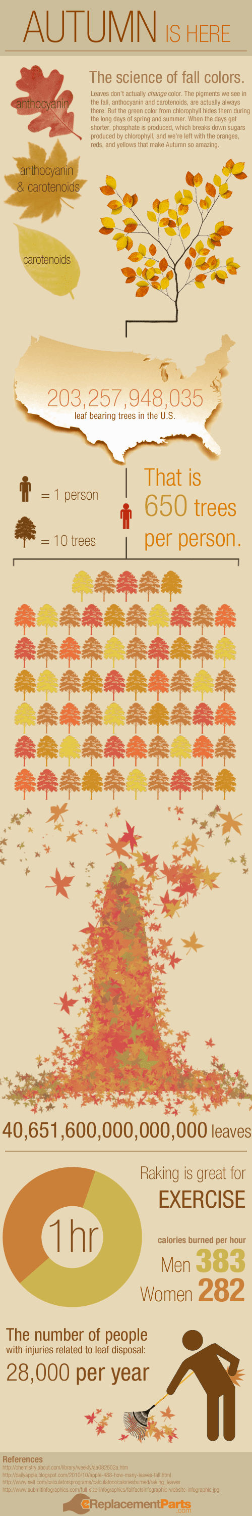 Leaves Statistics During Fall